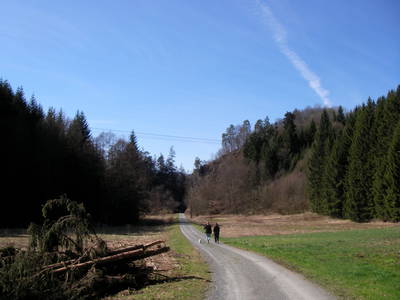 Im Steinachtal Weg zur" Steinachklamm".