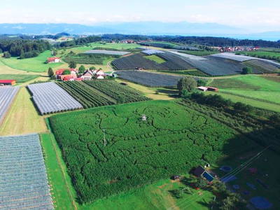 Bild 7 aus  Ferienhaus Ganal