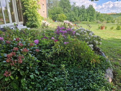 Bild 15 aus  Landhaus Jakob