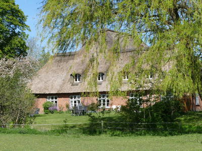 Bild 2 aus  Ferienhof Martens