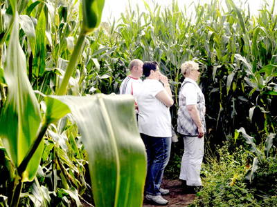 Bild 13 aus  Ferien & Freizeithof Meutstege