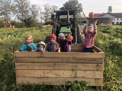 Bild 18 aus  Biohof Pürten