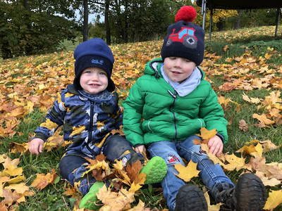 Bild 22 aus  Schelterhof