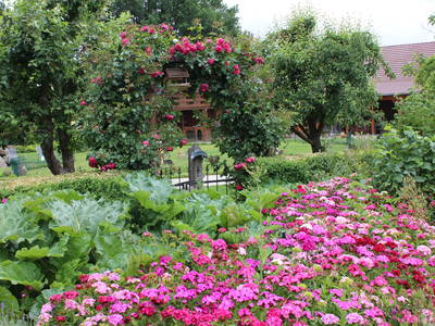 Bild 13 aus  Gut Sommereichen