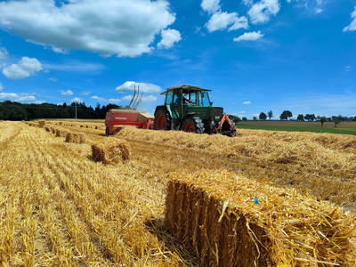 Bild 5 aus  Ferienhof Kornmayer - Nat(UR)laub zwischen Allgäu und Bodensee