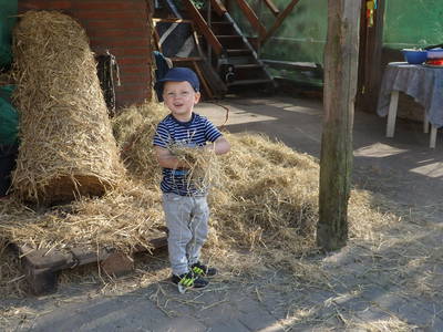 Bild 19 aus  Fjordgestüt Süderstapel GbR