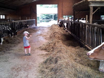 Bild 8 aus  Bauernhof Büchsenschütz