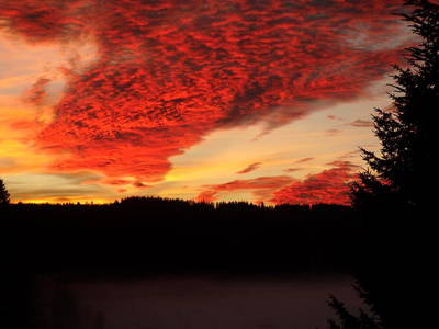 Bild 4 aus  Holzhäusl am Nationalpark