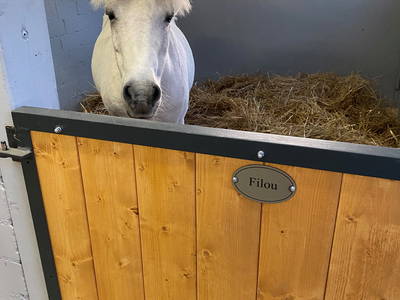 Bild 71 aus  Lindenhof