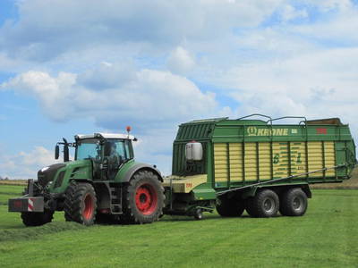 Bild 10 aus  Thelenshof