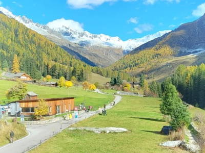 Bild 3 aus  Haus Steger