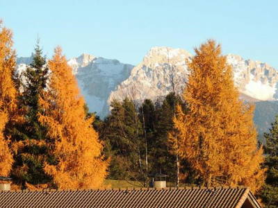 Bild 8 aus  Schadnerhof