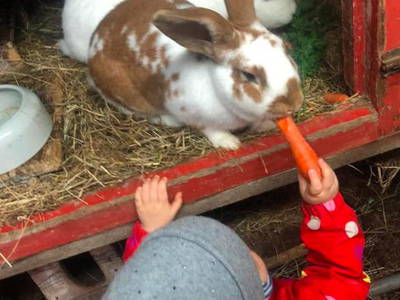 Bild 4 aus  Hof Janssen