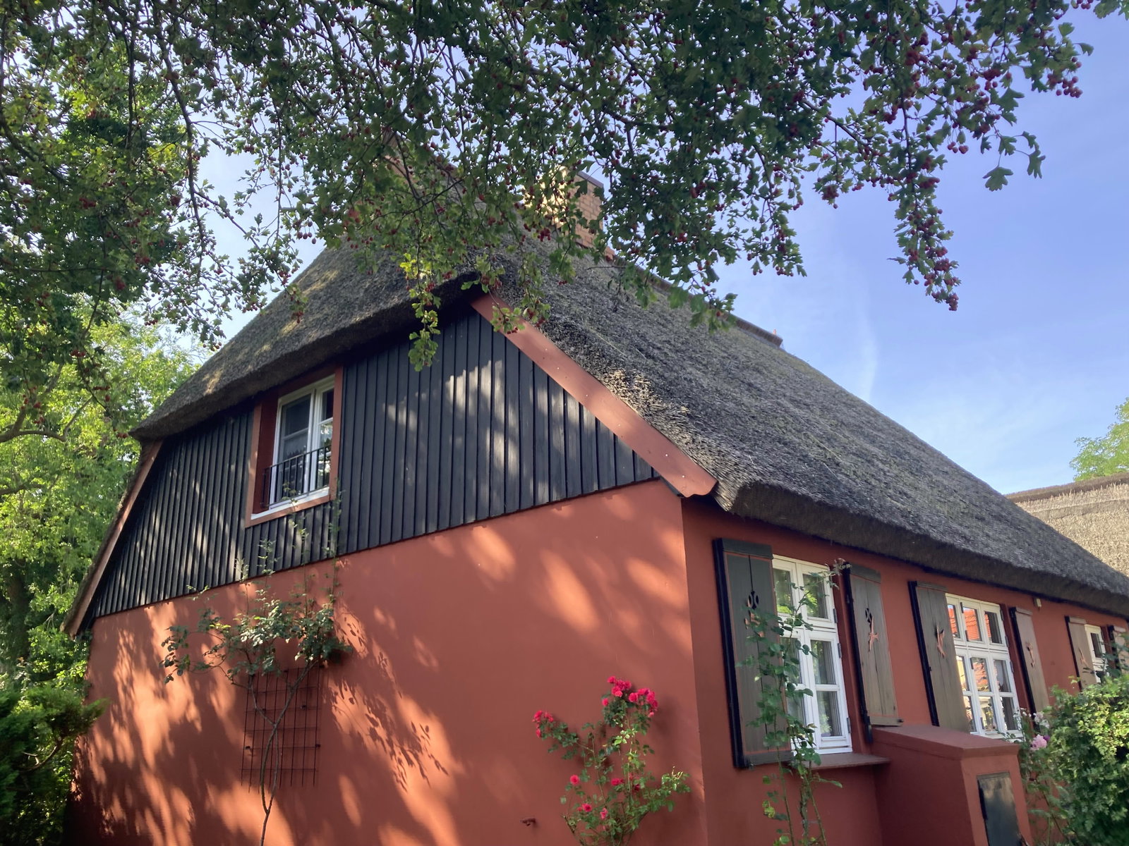 Zauberhafte reetgedeckte Darßer Ferienhäuser für 2 - 4 Pers.