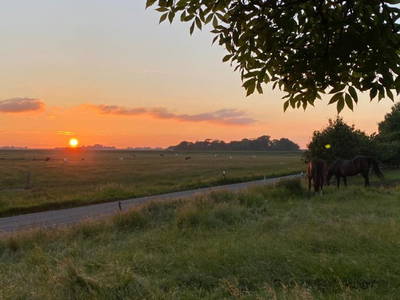 Bild 25 aus  Heverhus