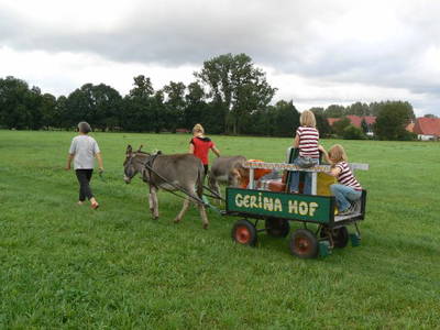 Bild 5 aus  Hof Gerina