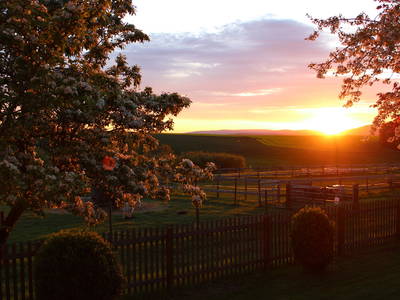 Bild 5 aus  Ferienhof Conrath