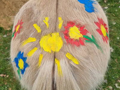 Bild 4 aus  Gut Godderstorf