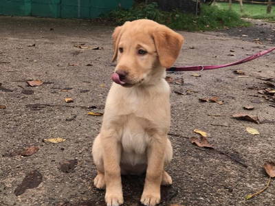 Die kleine Luna ist ganz neu auf dem Hof seit 2019