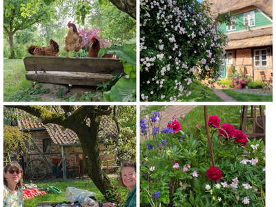 Bild 10 aus  Urlaub unterm Reet