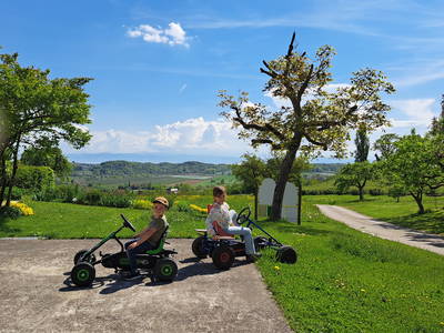 Bild 9 aus  Ferienhof Gehrenberg
