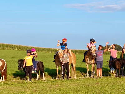 Bild 24 aus  Reiherhof