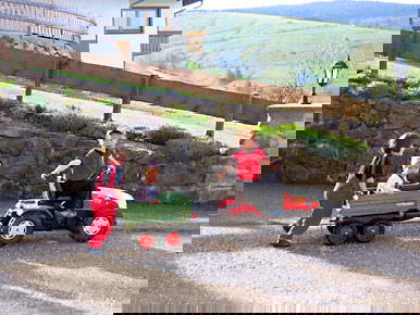 Bild 9 aus  Rotenhof - ein Hof mit Weitblick