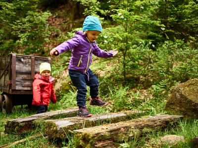 Bild 45 aus  Arber Lofts