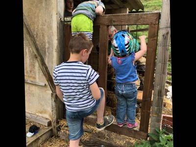 Bild 31 aus  Hof in Liebesdorf