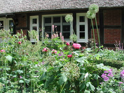 Bild 12 aus  Hof Höpen