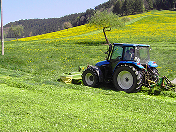 Bild 34 aus  Ramsteinerhof