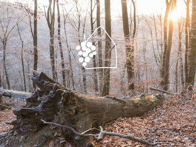 Bild 37 aus  Das Winzereck | Ferienhaus zwischen Weinbergen & Pfälzerwald