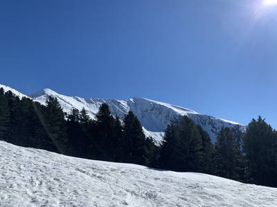 Bild 15 aus  Nussbaumerhof    (CIN: IT021011B5O4I2M5AI)