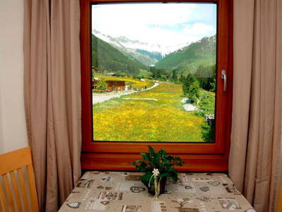 Bild 11 aus  Haus Steger