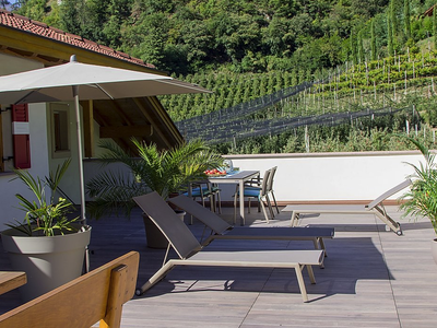 Bild 4 aus  WEINGUT & APARTMENTS WEI TGRUBER    CIN:  IT021051B4HVROK894