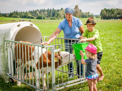 Bild 23 aus  LandSelection Hussnhof - Farm Lodge