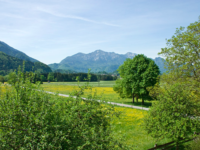 Bild 12 aus  Jodlhof Kochel am See