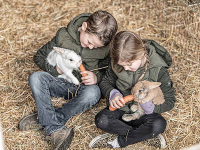 Bild 10 aus  Zillertaler Hofchalets