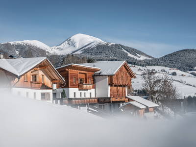 Bild 2 aus  Appartement Birkenhof - Urlaub mit Pferden und Alpakas