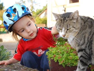 Bild 16 aus  Gutshof Baumbach