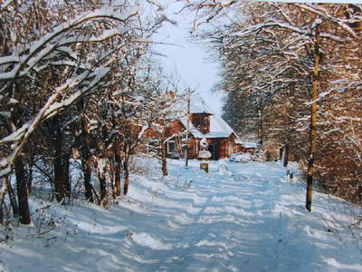 Bild 5 aus  Hof Junkernberg am See