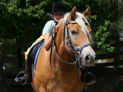 Bild 35 aus  Wietererhof