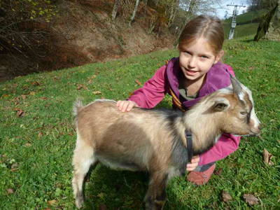 Bild 6 aus  Schillingerhof