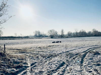 Bild 49 aus  Bauernhof Krebs