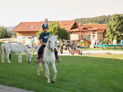 Bild 24 aus  Wenighof