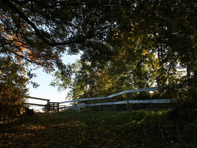 Bild 22 aus  Hof Hospitalmühle