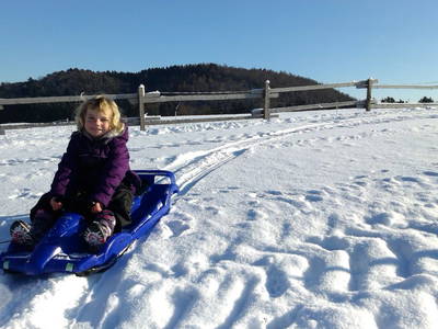 Bild 46 aus  Familienbauernhof Faß