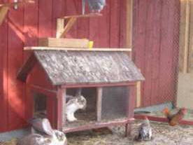 Bild 8 aus  Ferienhof Ebsen