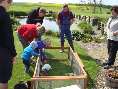 Bild 3 aus  Houdam Farm