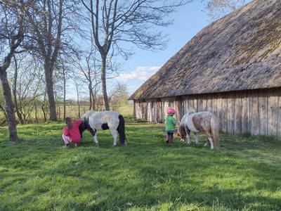 Bild 7 aus  Hamkenshof